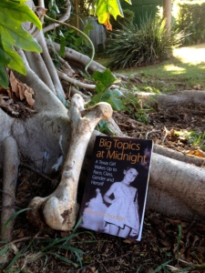 Banyon tree and bone with book